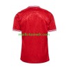 Maillot de Foot Danemark Domicile UEFA EURO 2024